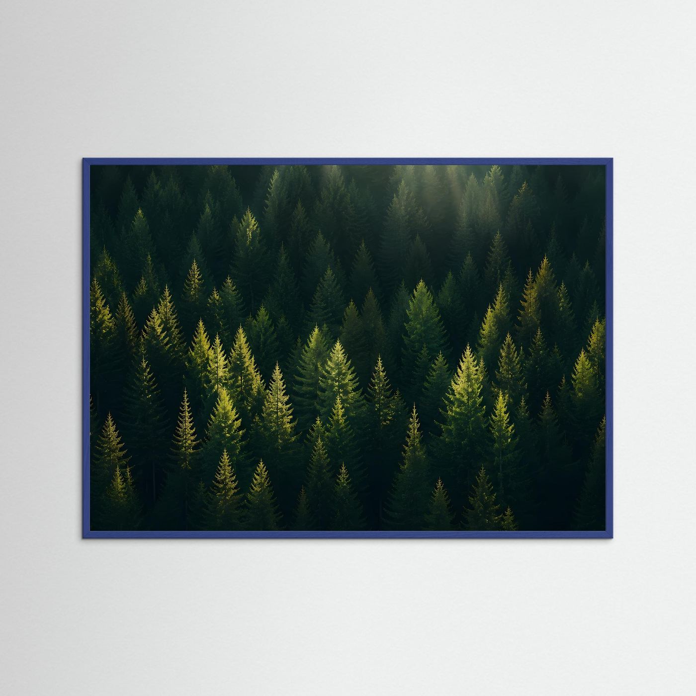 Mystischer Nadelwald im Sonnenlicht | Panorama Wald & Natur Poster Querformat