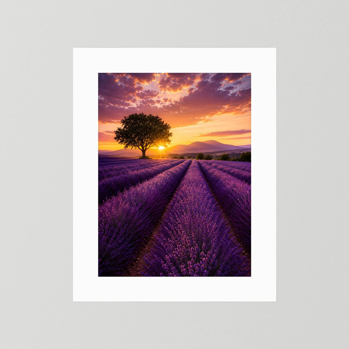 Lavendelfeld-Naturposter im Hochformat mit Sonnenuntergang, weißes Passepartout