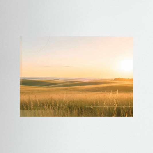 Querformat-Poster mit goldener Wiesenlandschaft und tiefstehender Sonne bei Sonnenuntergang