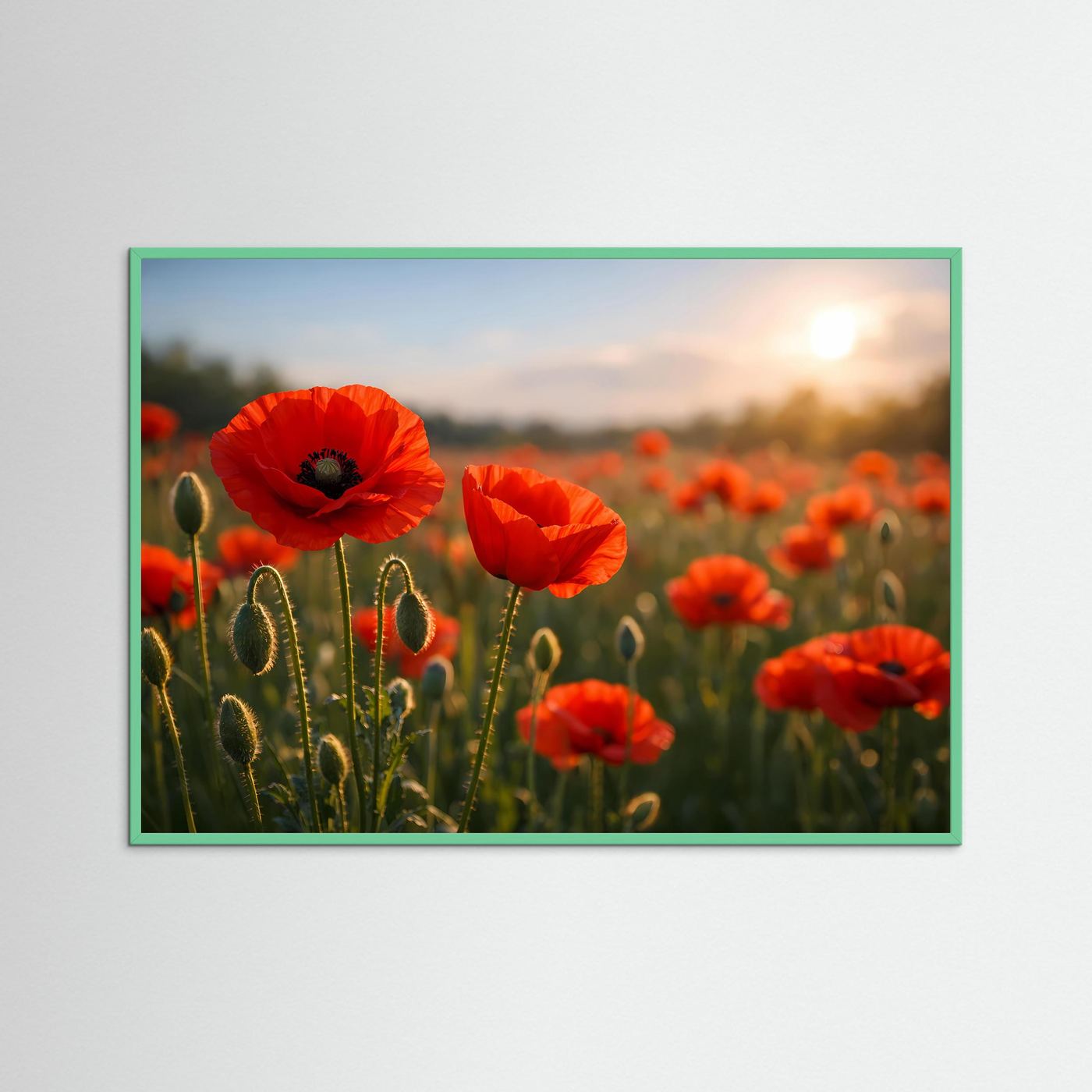 Mohnblumen-Poster mit roten Blüten bei Sonnenuntergang, grüner Rahmen