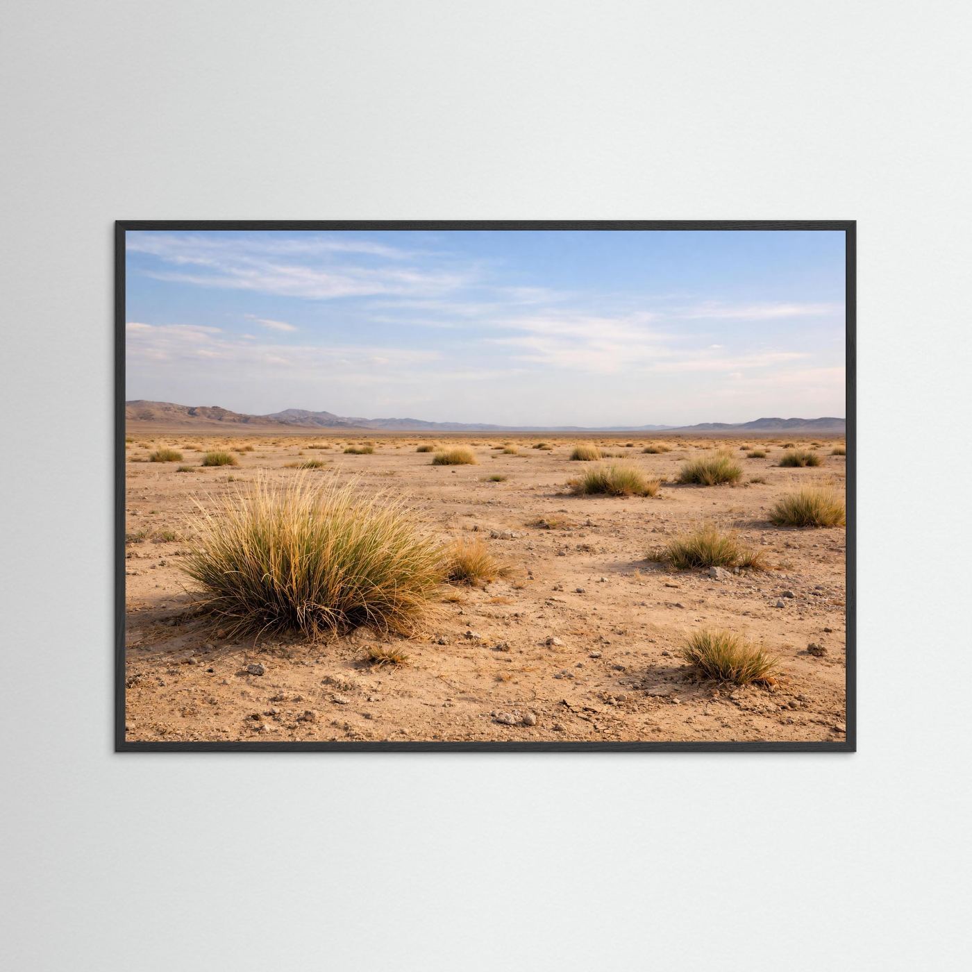 Weite der Steppe | Wüstenlandschaft Naturposter Querformat