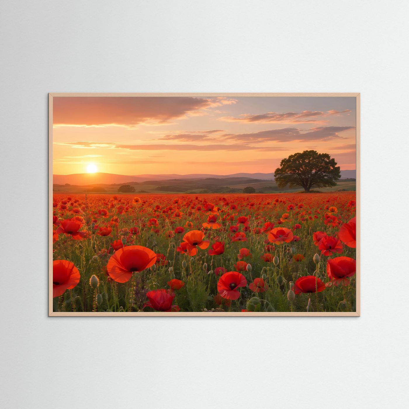Mohnblumen Poster Querformat | Rotes Mohnfeld bei Sonnenuntergang