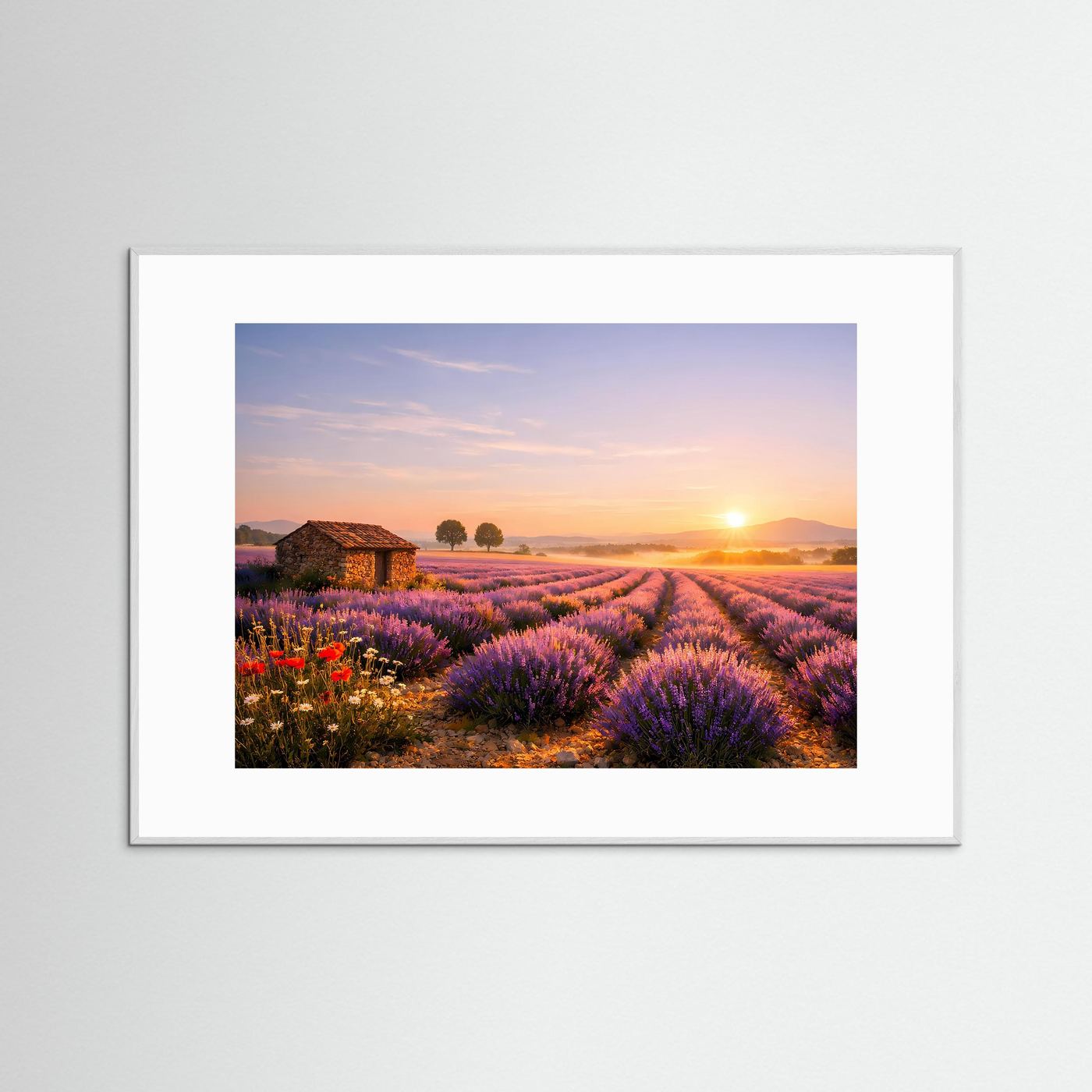 Goldener Morgen in der Provence | Lavendelfeld & Steinhütte Poster Querformat