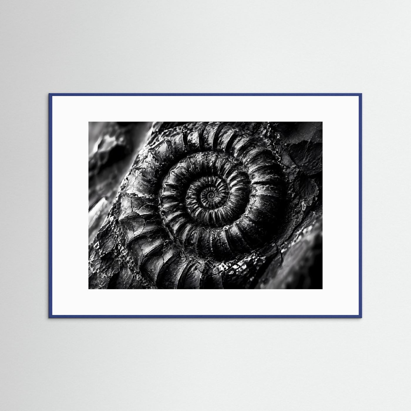 Ammonit Fossil Schwarz Weiß Poster | Makro Fossilien Wandkunst | Monochrome Naturkunst | Geologie Leinwand | Modernes Spiral Fossil Bild