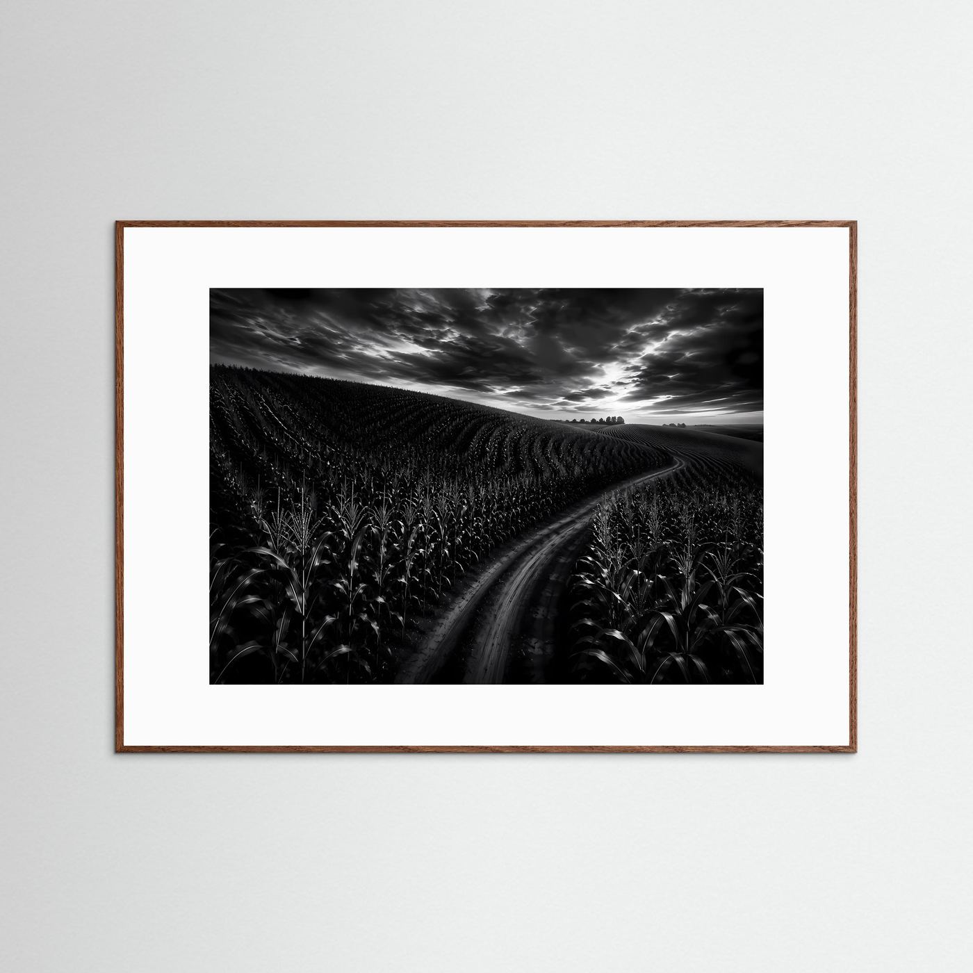 Schwarz Weiß Landschaft mit Feldweg | Dramatisches Natur Wandbild | Monochrome Landschaftsfotografie | Modernes Leinwandbild | Premium Poster