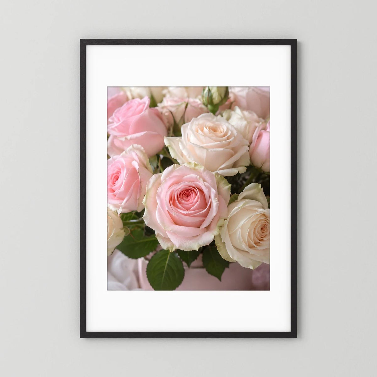 Rosen-Wandposter mit rosa und weißen Rosen, schwarzer Rahmen und weißer Passepartout.