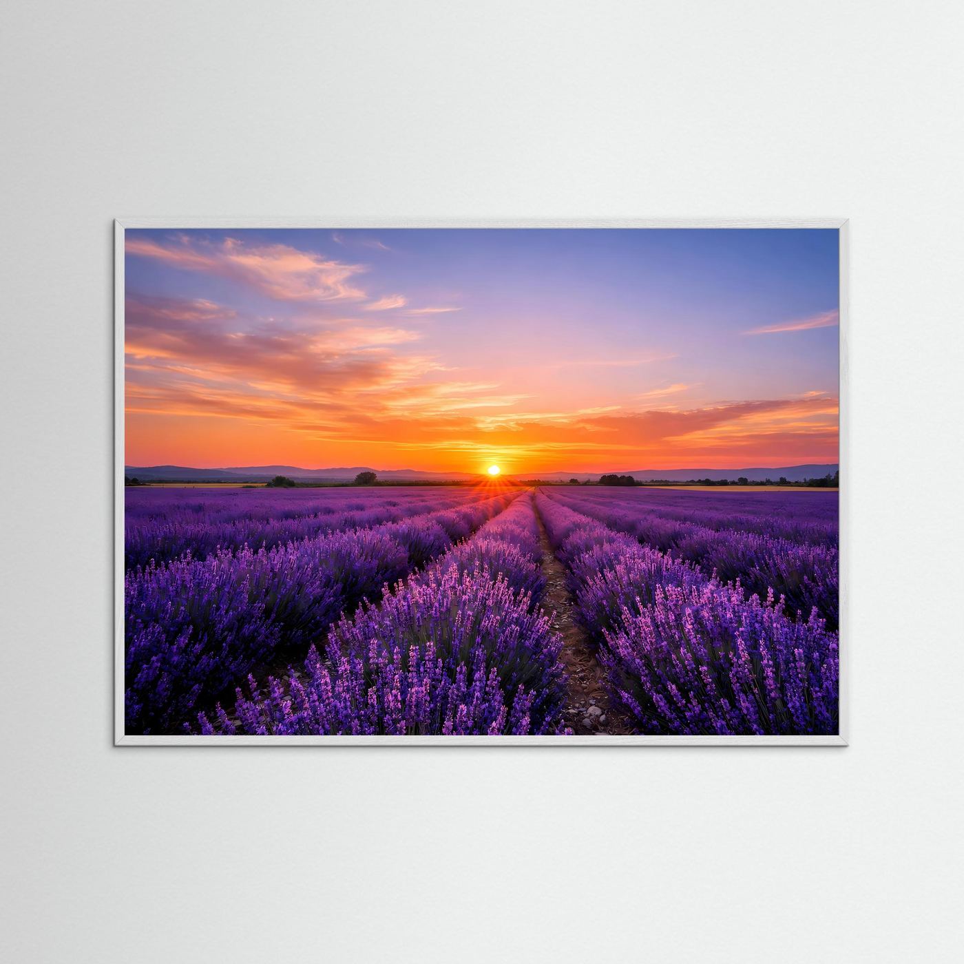 Querformat-Poster mit Lavendelfeld bei Sonnenuntergang, grauer Rahmen