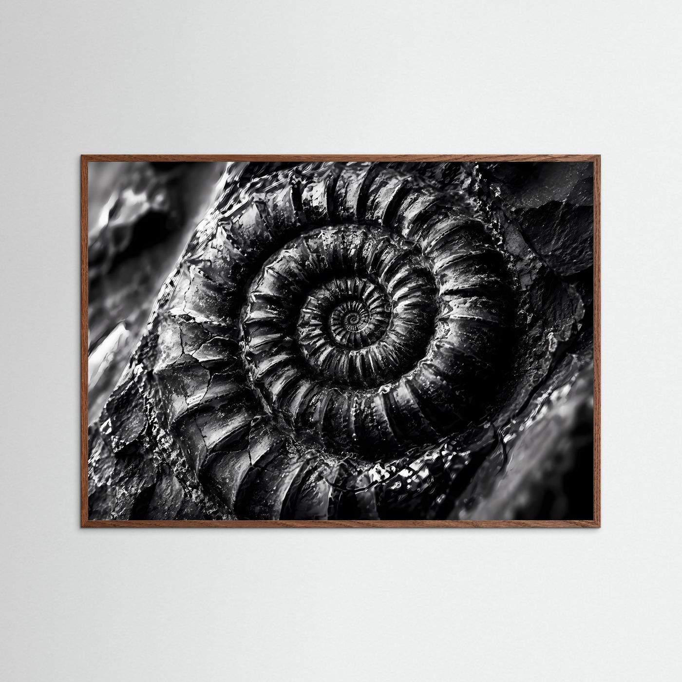 Ammonit Fossil Schwarz Weiß Poster | Makro Fossilien Wandkunst | Monochrome Naturkunst | Geologie Leinwand | Modernes Spiral Fossil Bild
