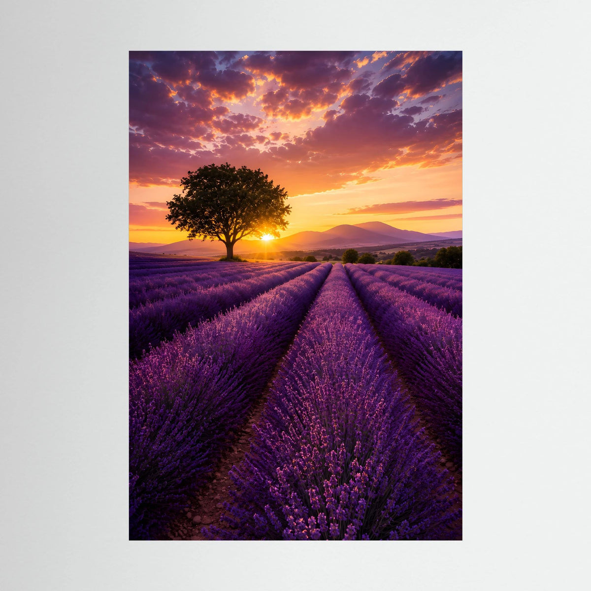 Lavendelfeldposter im Hochformat: lila Feldwege, Baum und goldene Sonne bei Sonnenuntergang