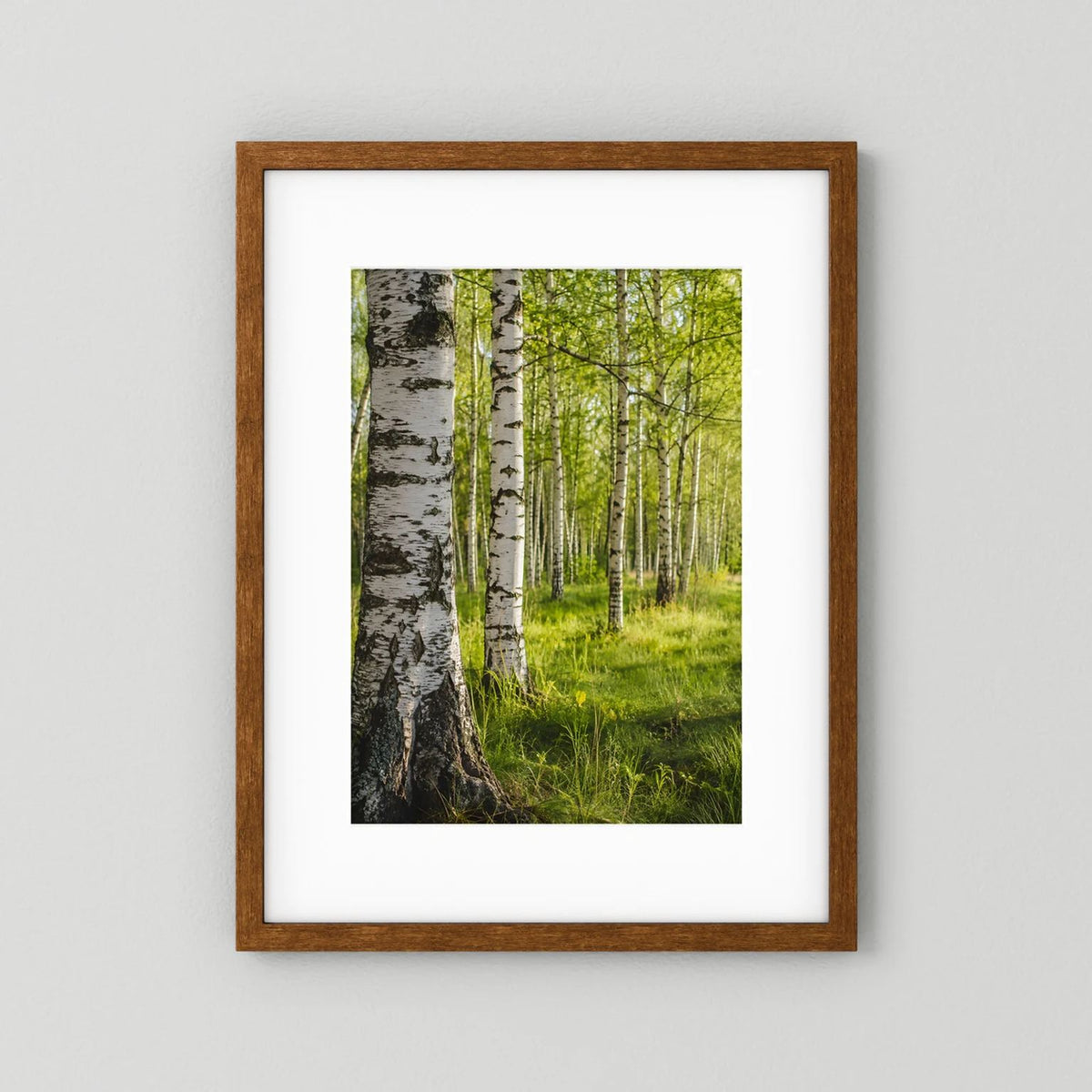 Poster im Hochformat: Birkenwald mit grüner Wiese, brauner Rahmen mit weißem Rand