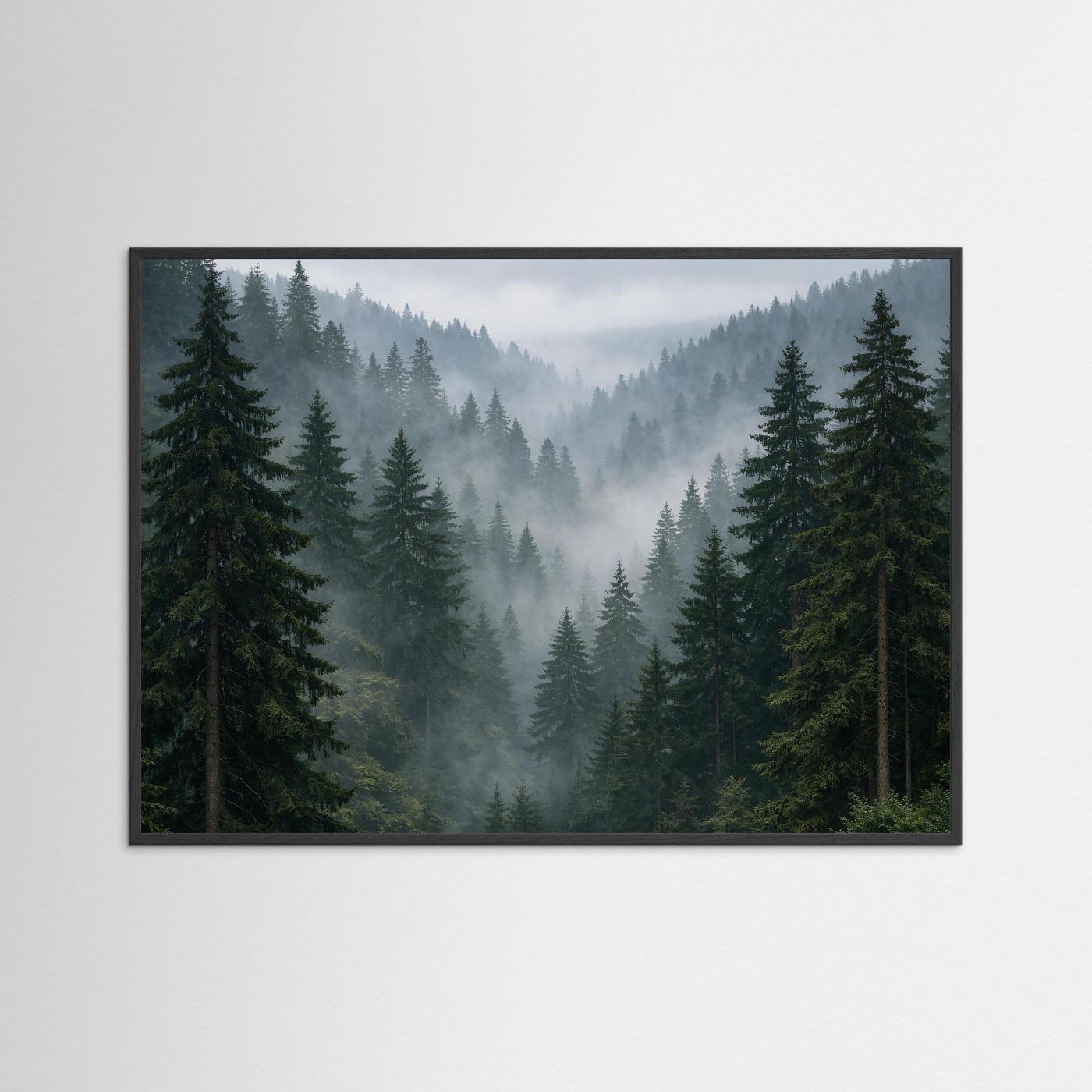 Wandbild mit Tannenwald im Nebel, schwarzer Rahmen