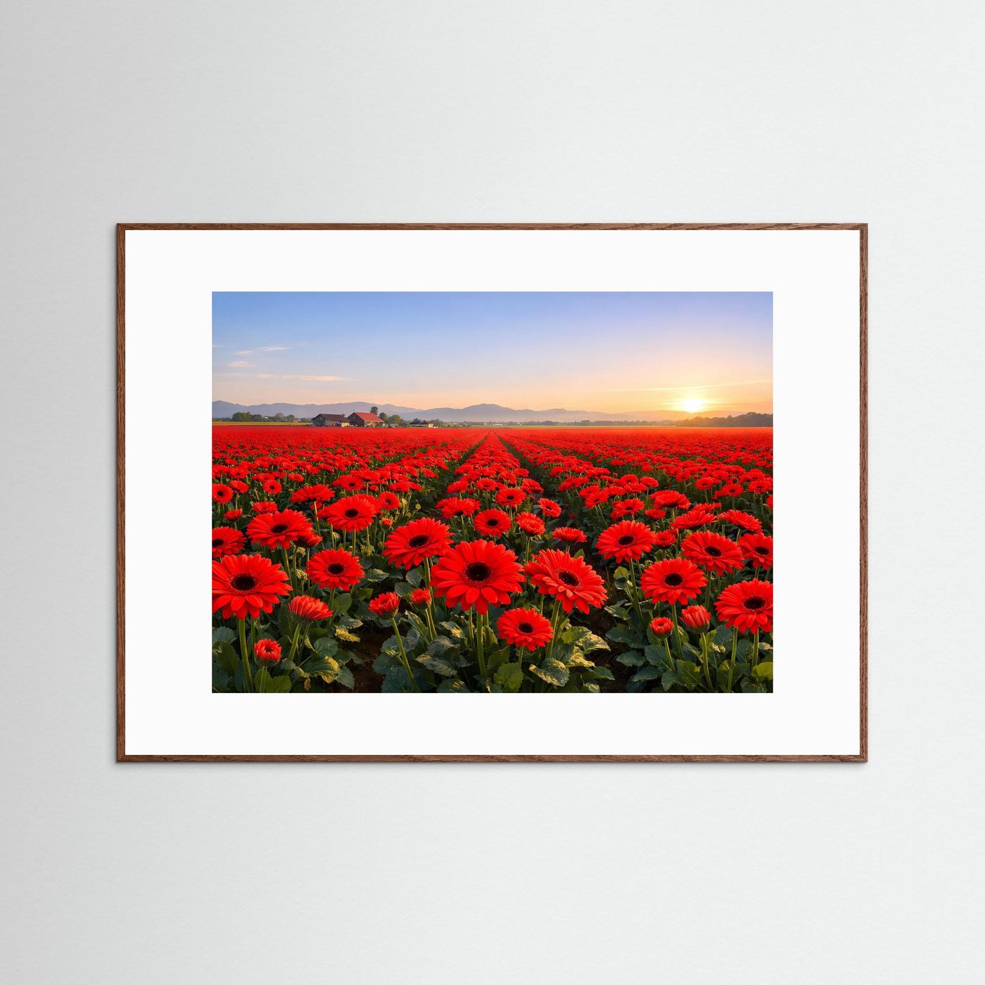 Blumenposter im Rahmen mit braunem Holzrand, Feld roter Gerbera bei Sonnenaufgang.