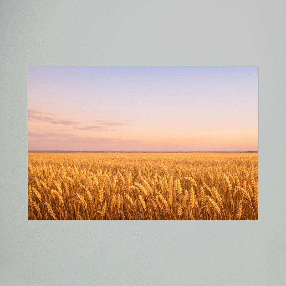Wandbild-Poster mit goldenem Weizenfeld bei Sonnenuntergang, Querformat, Nahansicht.