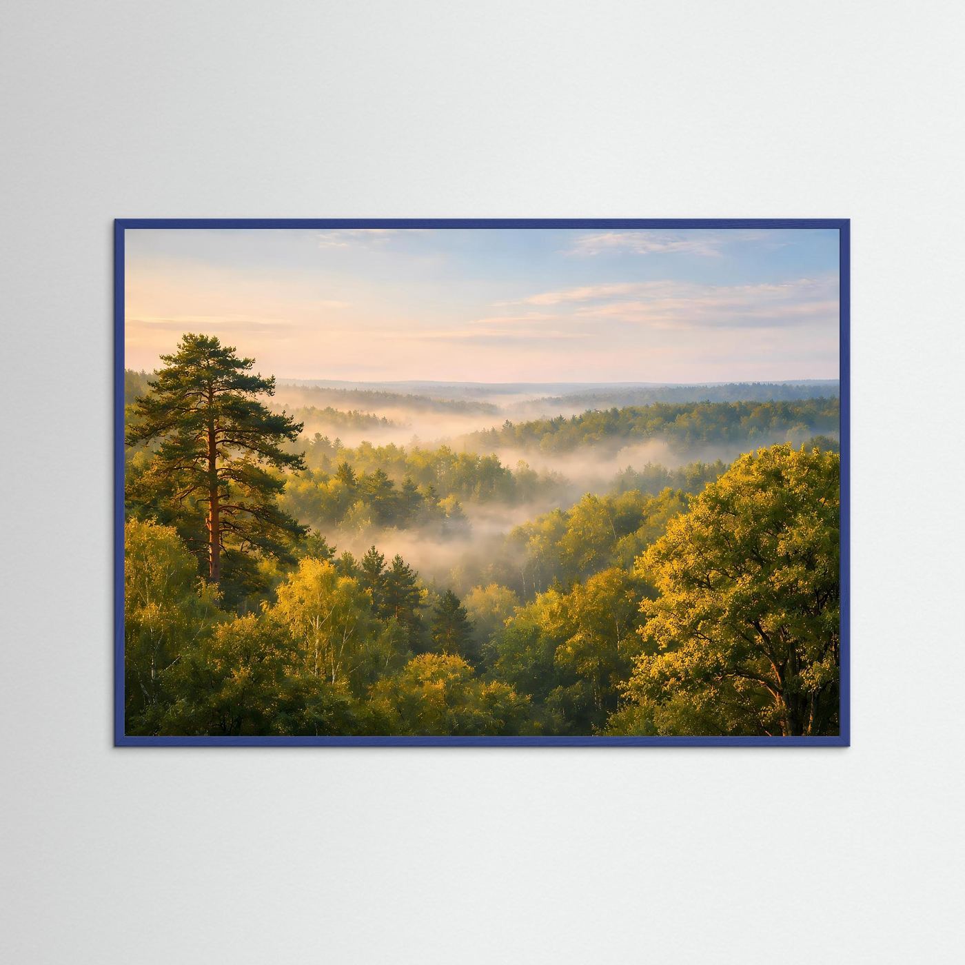 Morgenlicht über dem Nebelwald | Baumkronen & Natur Panorama Poster Querformat