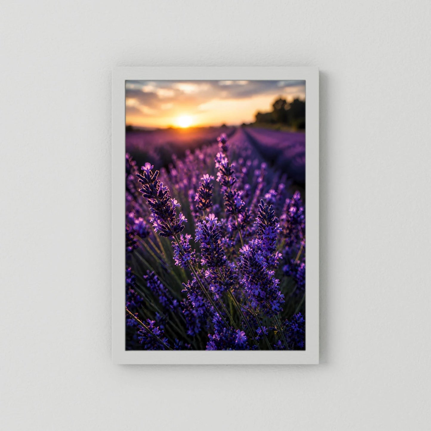 Hochformatiges Lavendelfeld-Poster mit violetten Blüten im Sonnenuntergang, weiß gerahmt