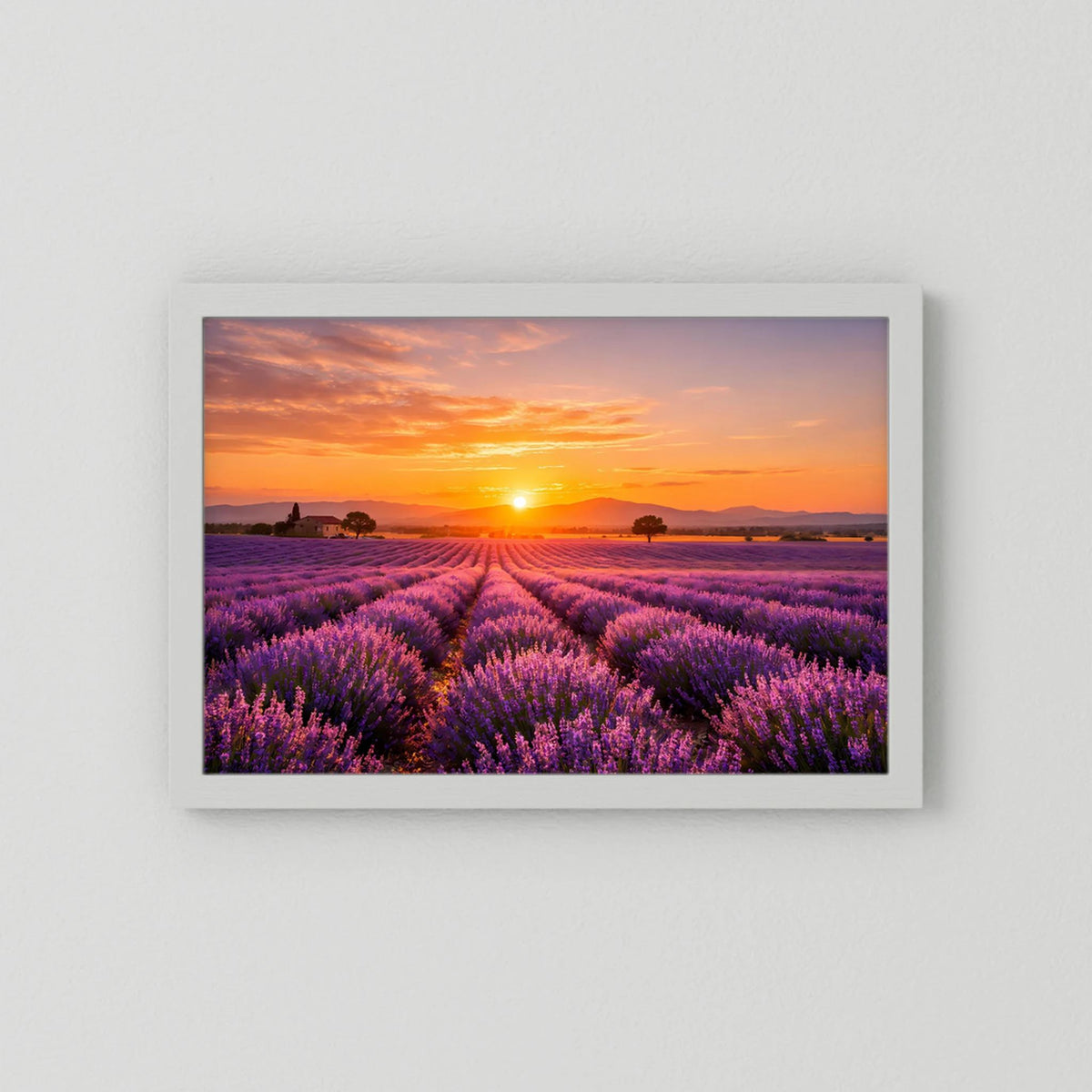Lavendelfeld-Wandbild im Querformat mit Sonnenuntergang, weißer Rahmen