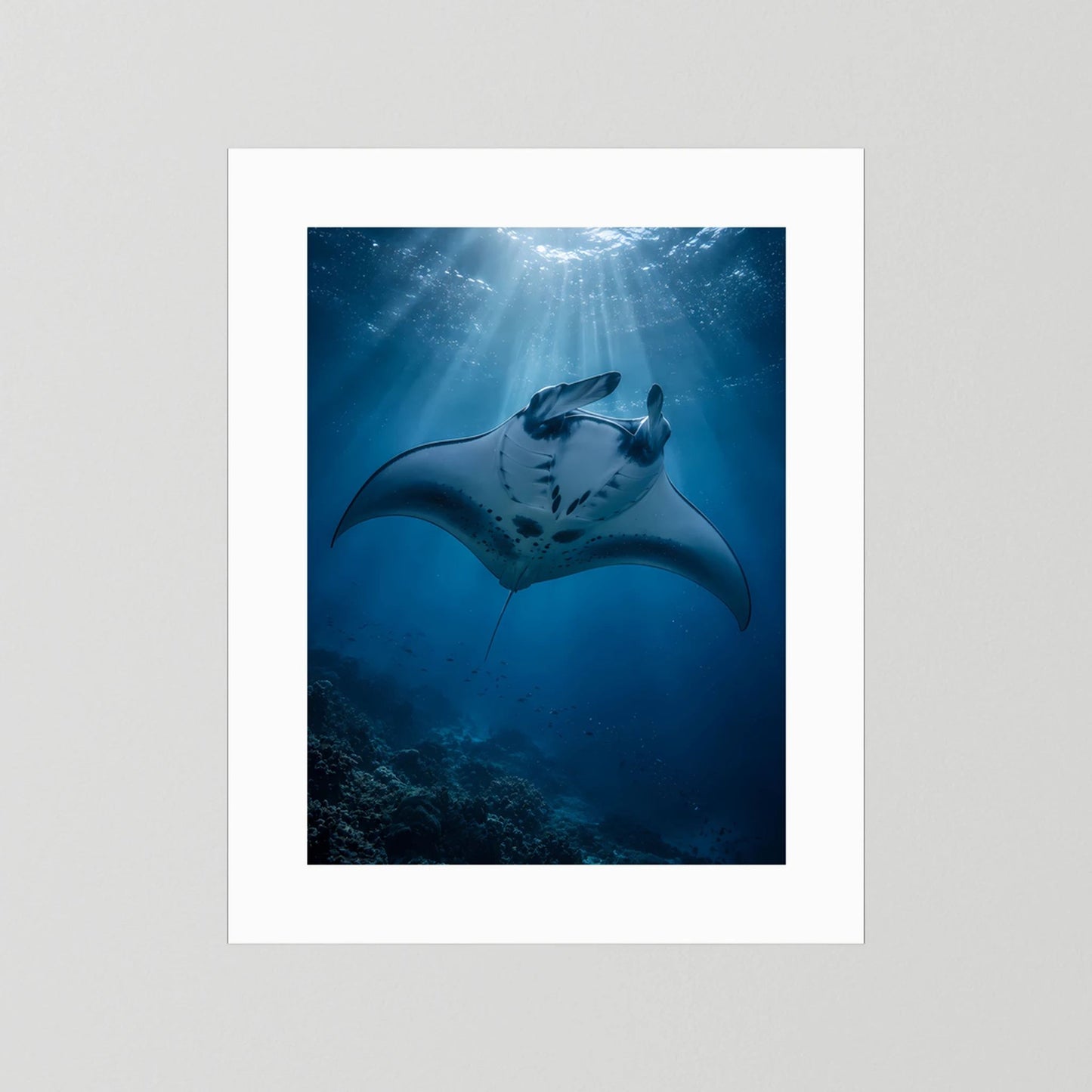 Hochformat-Poster mit Mantarochen im tiefblauen Ozean, Lichtstrahlen, weißer Rand