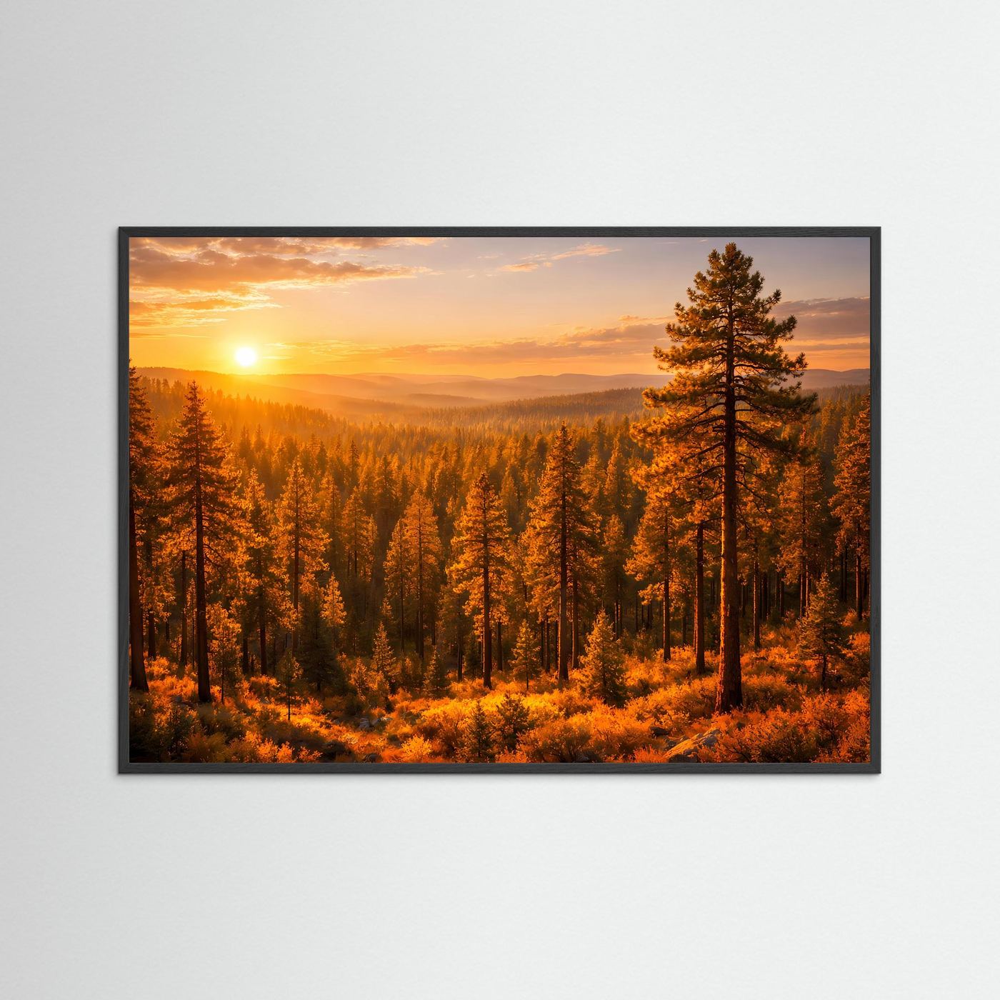 Querformatiges Naturposter mit Sonnenaufgang und Kiefern im goldenen Wald, schwarzer Rahmen