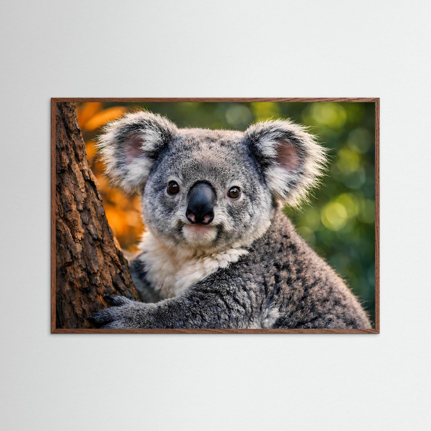 Gerahmtes Tierposter mit sitzendem Koala auf Baumstamm, brauner Rahmen