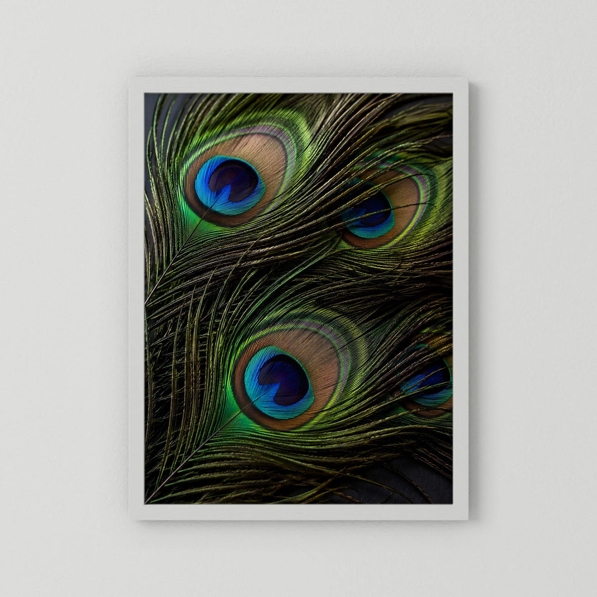 Hochformat-Poster mit Pfauenfedern: grün-schwarzer Federgrund und blaue Augen, weißer Rahmen.