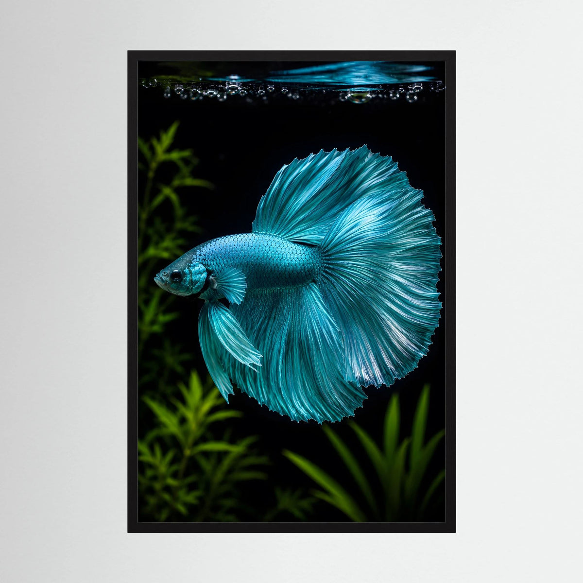 Kunstposter mit türkisfarbenem Betta-Fisch, schwarzer Rahmen, Hochformat