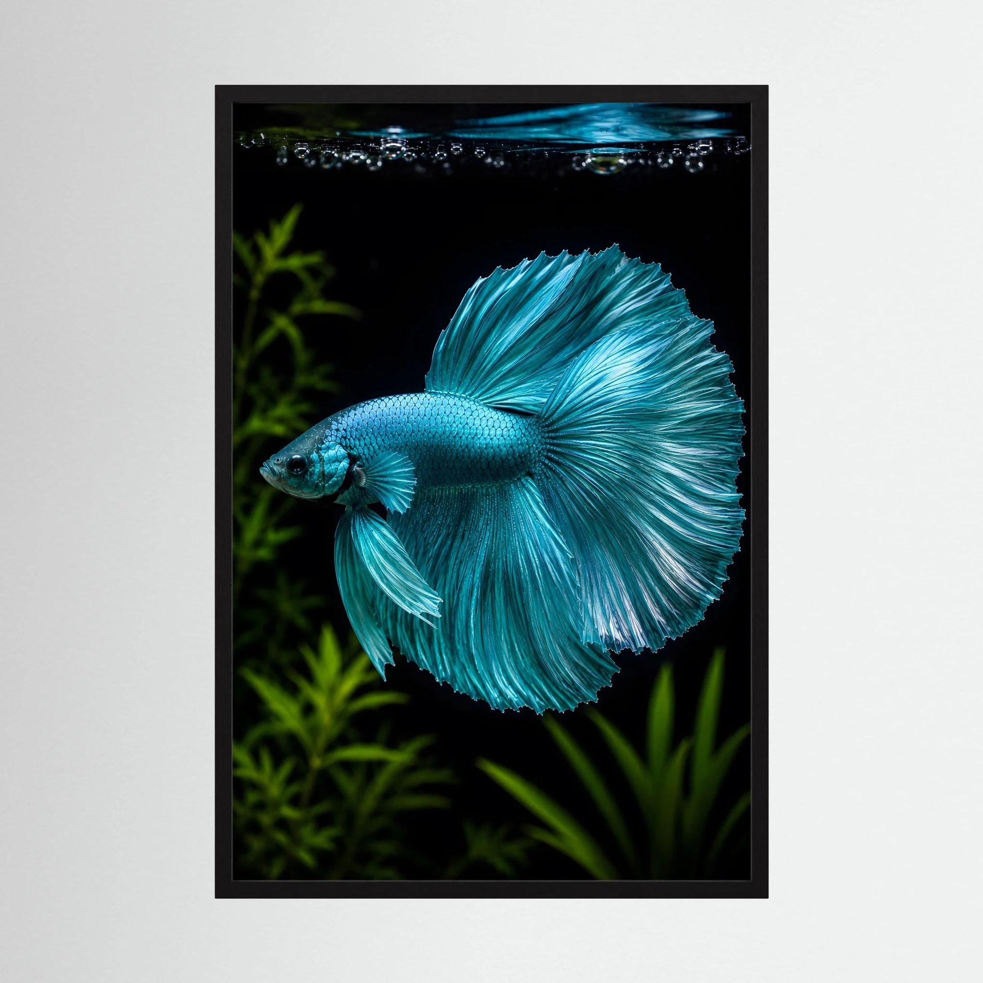 Kunstposter mit türkisfarbenem Betta-Fisch, schwarzer Rahmen, Hochformat
