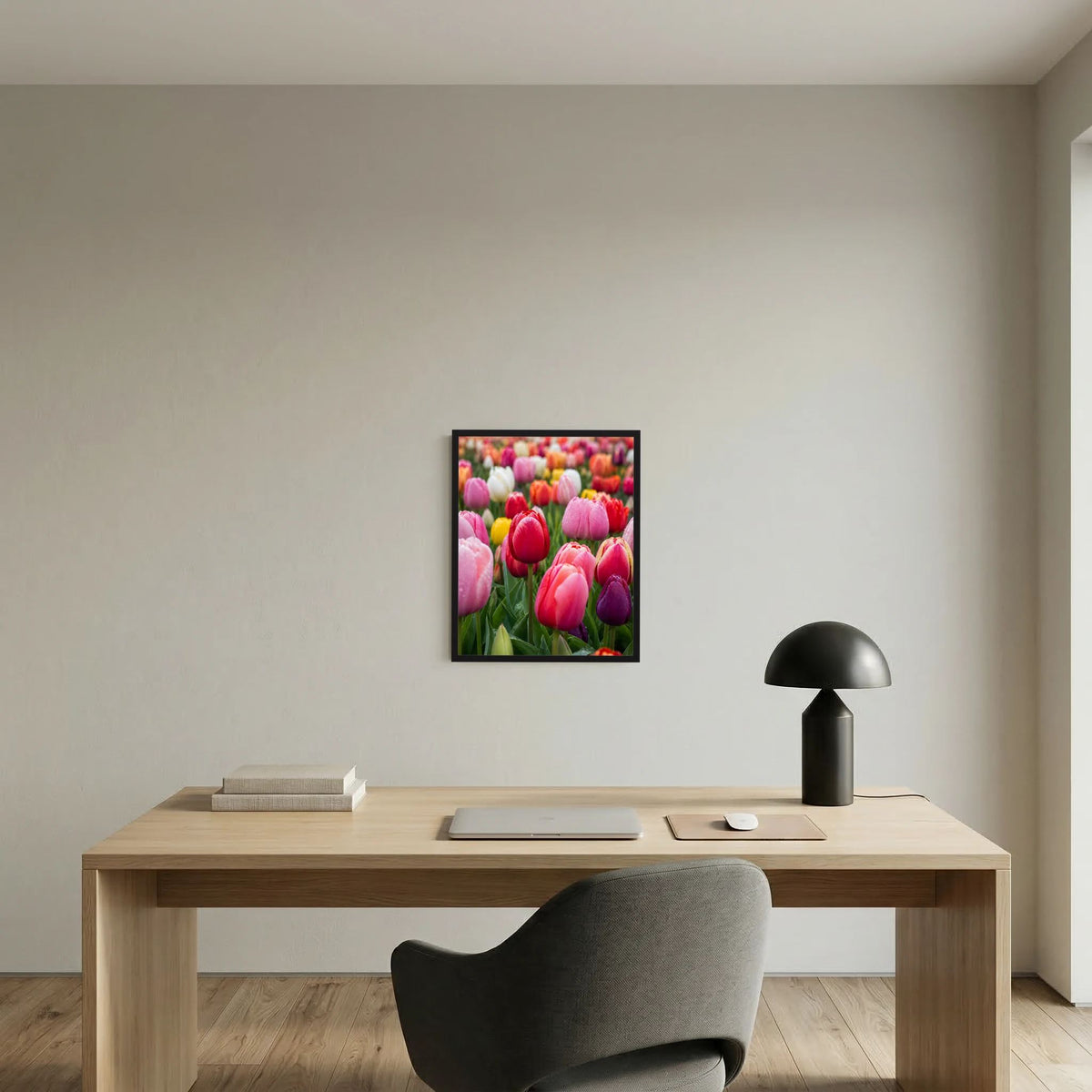 Gerahmtes Hochformat-Tulpenfeld-Poster mit bunten rosa-roten Tulpenblüten (schwarz)