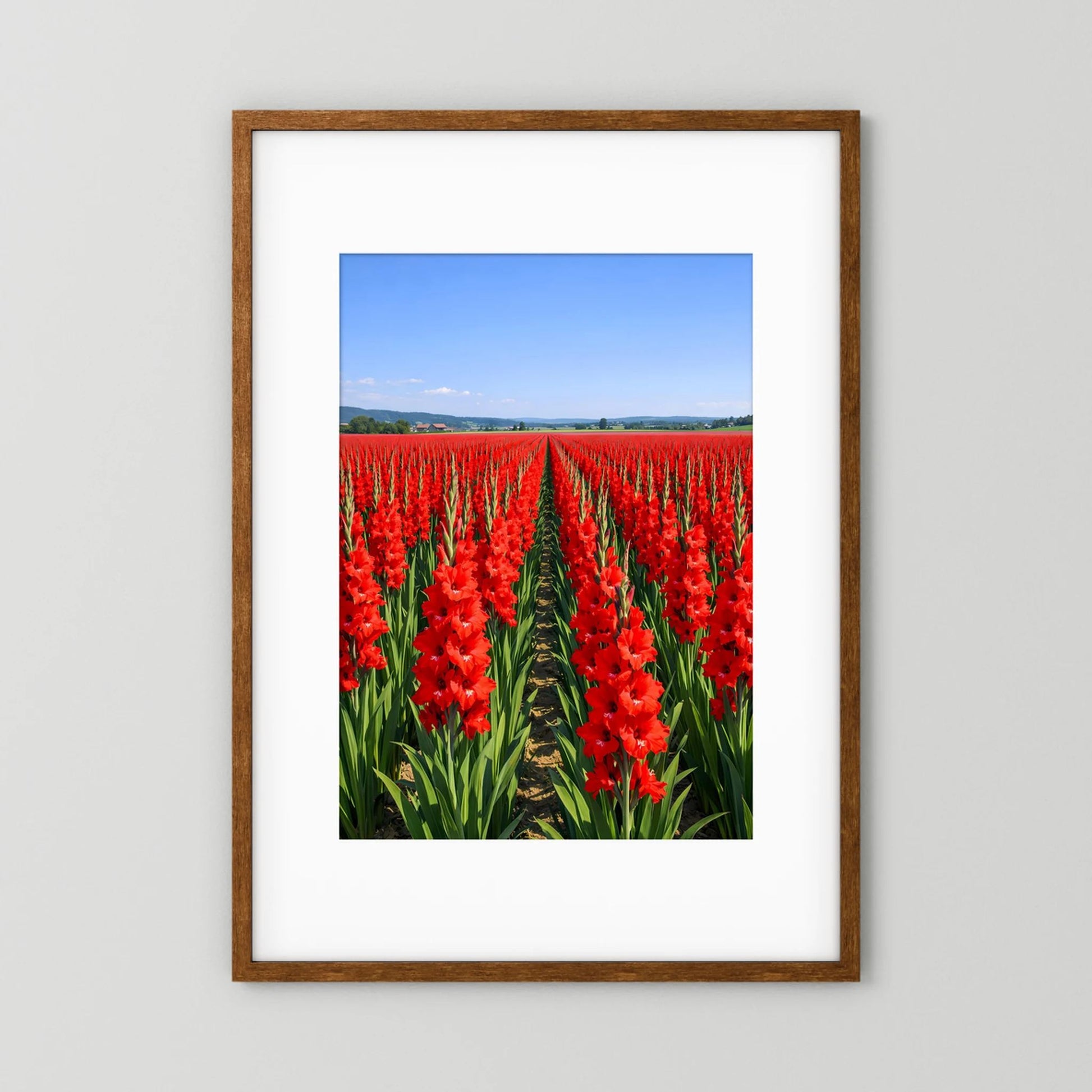 Wandbild mit rotem Gladiolenfeld im braunen Holzrahmen