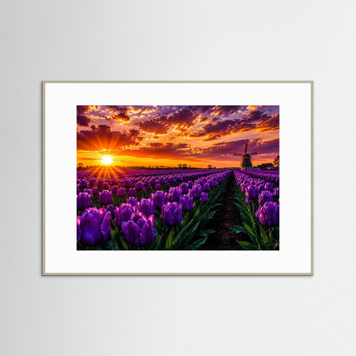 Poster im Querformat mit violettem Tulpenfeld, Windmühle und Sonnenuntergang, weißer Rahmen