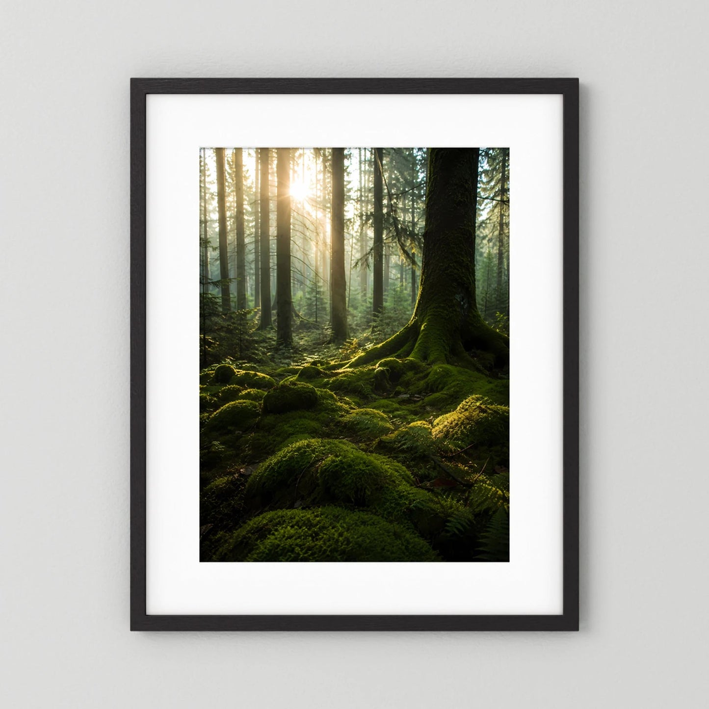 Hochformat-Poster im schwarzen Rahmen mit weißem Passepartout: Wald mit Moos und Sonnenlicht