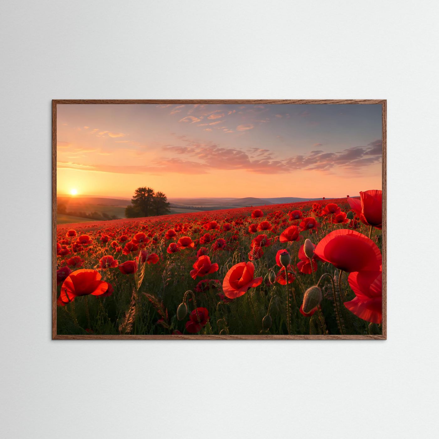 Querformat-Poster mit rotem Mohnblumenfeld bei Sonnenuntergang, dunkler Eichenrahmen