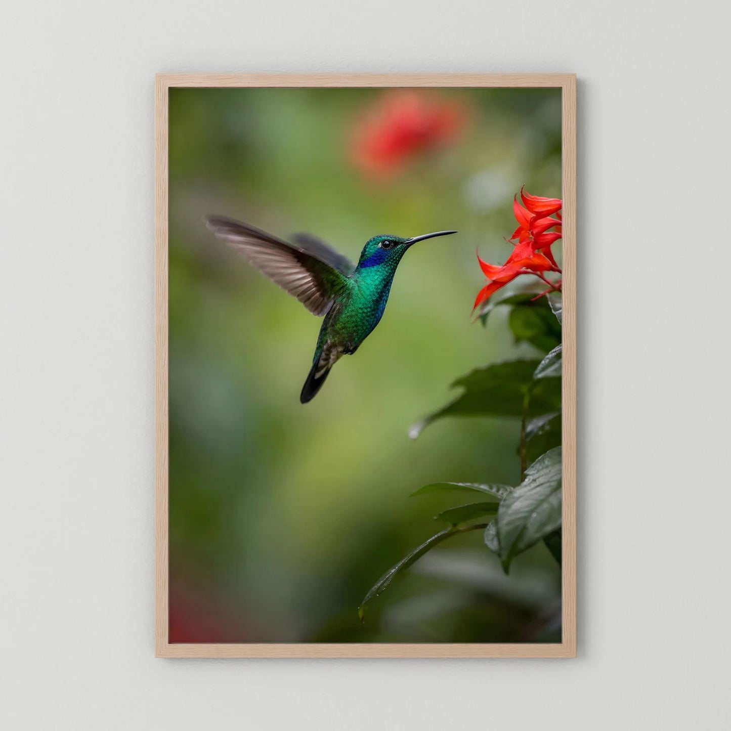 Wandposter mit grünem Kolibri im Flug und roten Blüten, heller Holzrahmen