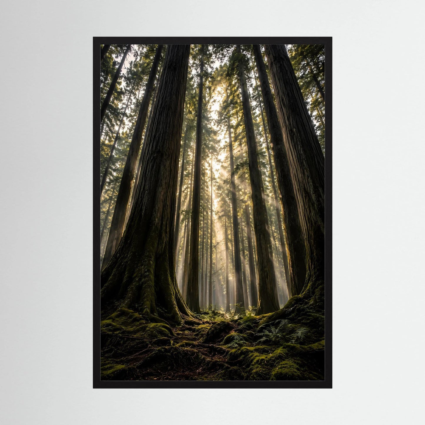 Poster im Hochformat mit schwarzem Rahmen: Redwood-Wald mit Lichtstrahlen