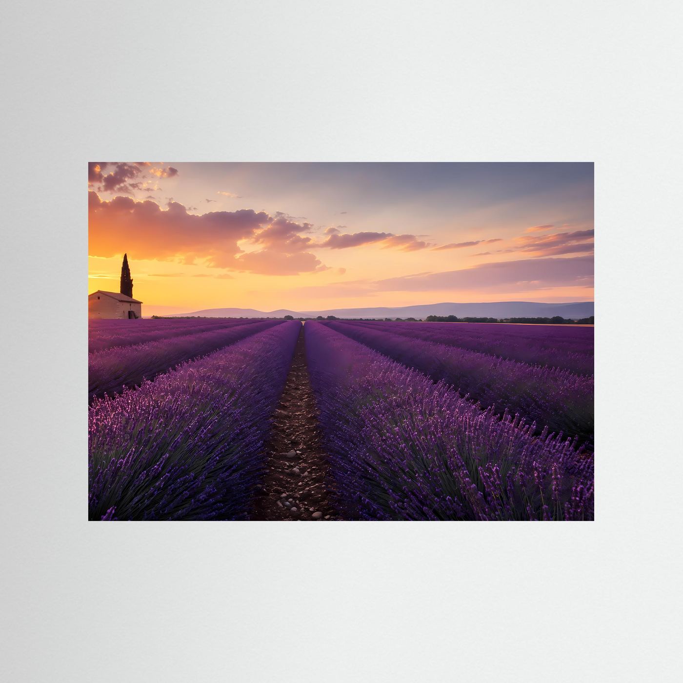 Lavendelfeld im Sonnenuntergang | Provence Landschaft in Lila & Gold