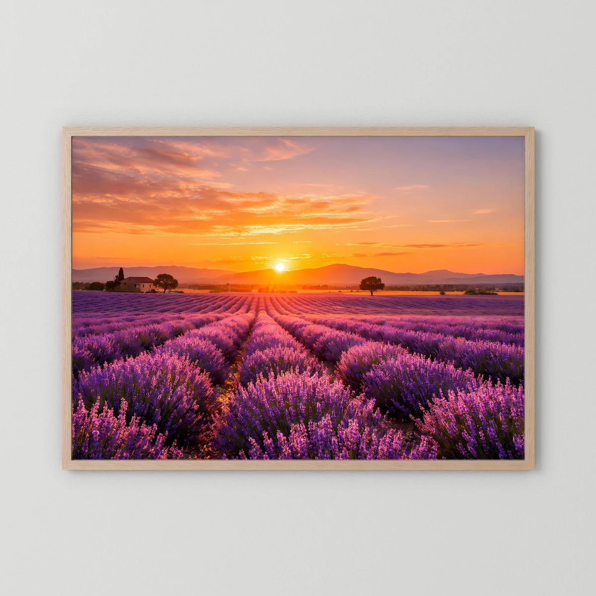 Lavendelfeld-Wandbild im Querformat mit Sonnenuntergang, heller Eichenrahmen