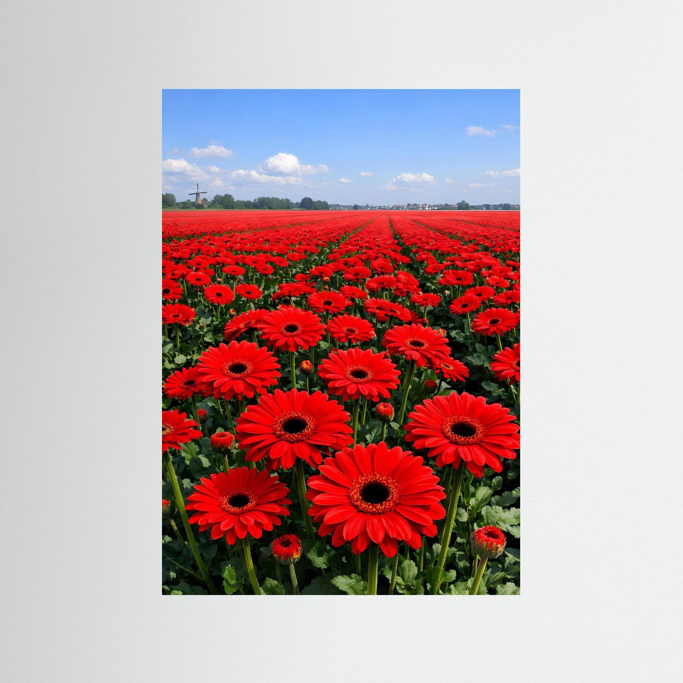 Hochformatiges Blumenposter mit rotem Gerbera-Meer und Feldweg, ohne Rahmen