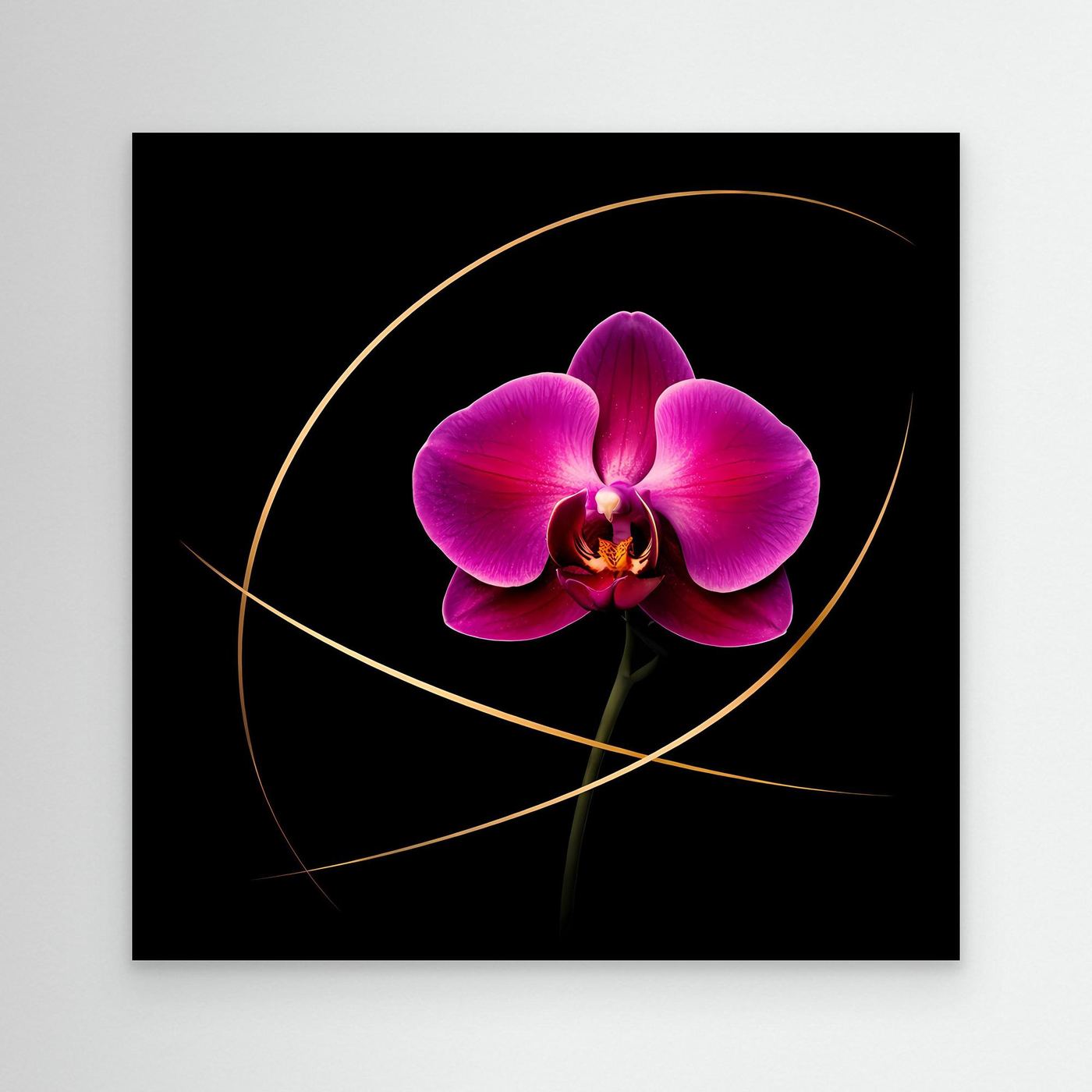 Leinwandbild mit magentafarbener Orchidee und goldenen Linien auf schwarzem Hintergrund, ohne Rahmen