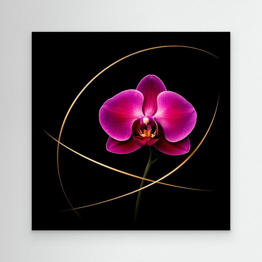 Leinwandbild mit magentafarbener Orchidee und goldenen Linien auf schwarzem Hintergrund, ohne Rahmen