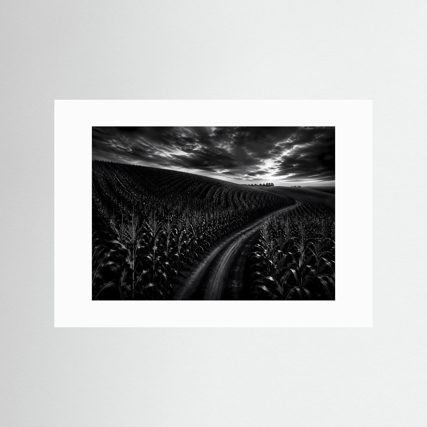 Schwarz Weiß Landschaft mit Feldweg | Dramatisches Natur Wandbild | Monochrome Landschaftsfotografie | Modernes Leinwandbild | Premium Poster