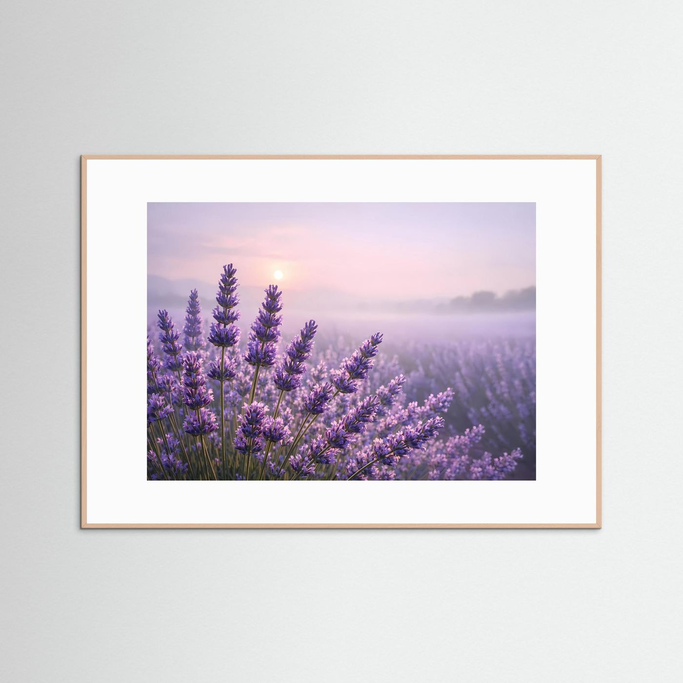 Sanfter Lavendelzauber im Morgenlicht | Panorama Blumenfeld & Natur Poster Querformat