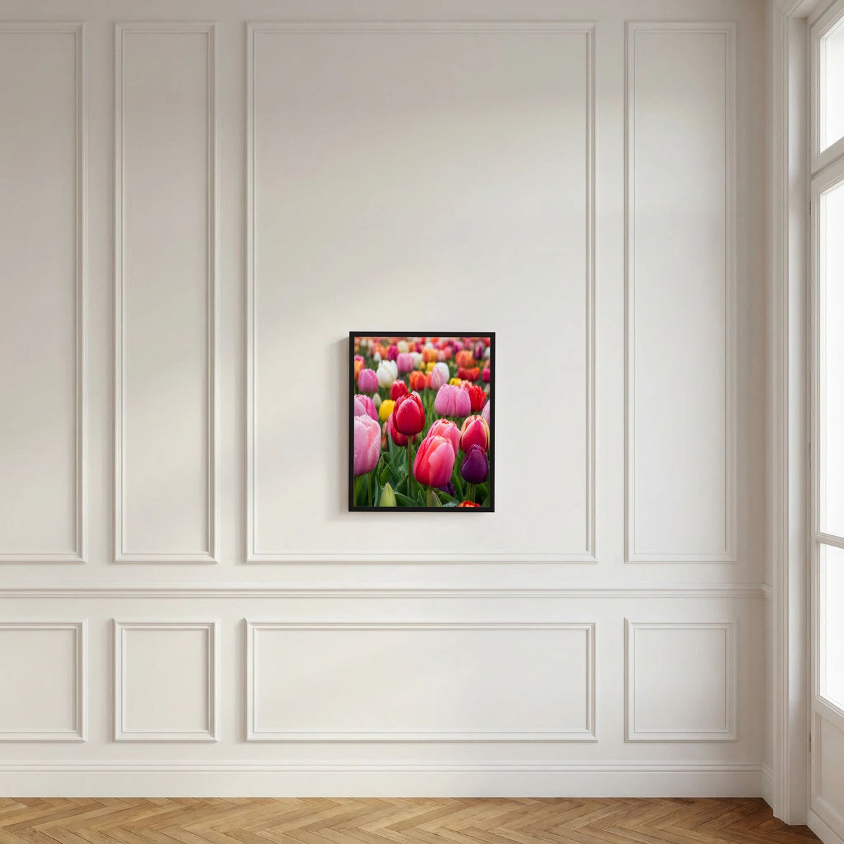 Gerahmtes Hochformat-Tulpenfeld-Poster mit bunten rosa-roten Tulpenblüten (schwarz)