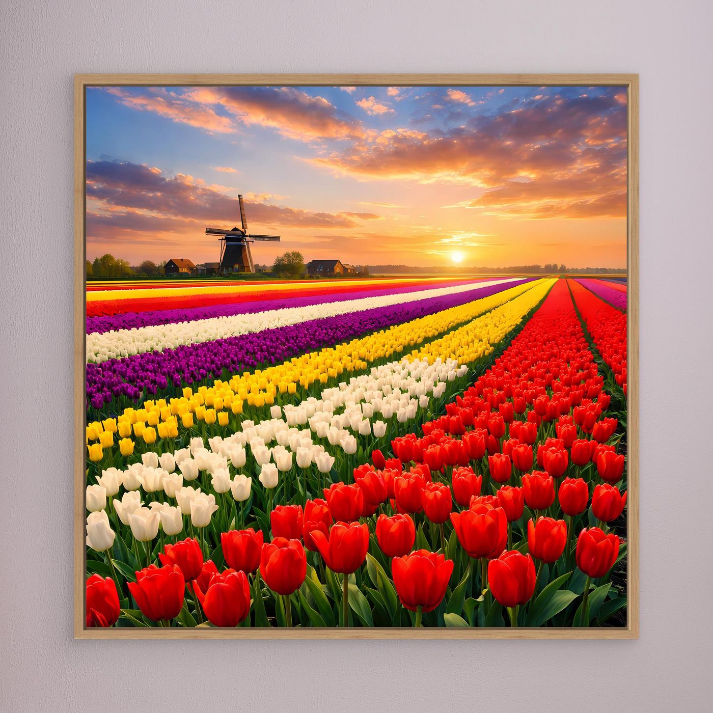 Quadratisches Leinwandbild: buntes Tulpenfeld mit Windmühle bei Sonnenuntergang, braun gerahmt