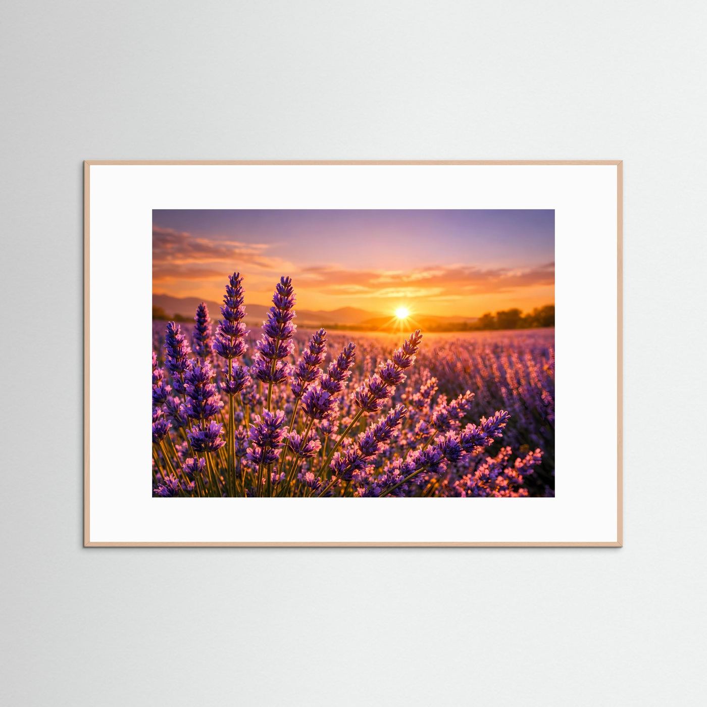 Lavendelzauber im Abendlicht | Provence & Sonnenuntergang Panorama Poster Querformat