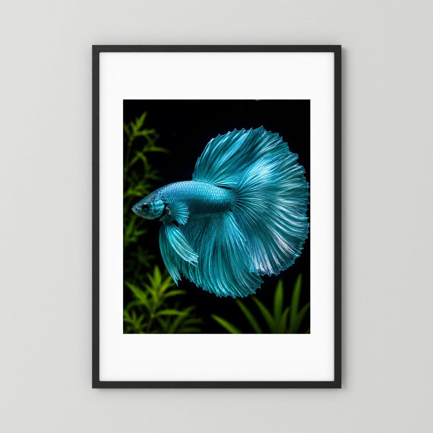 Kunstposter mit türkisfarbenem Betta-Fisch, schwarzer Rahmen, Hochformat