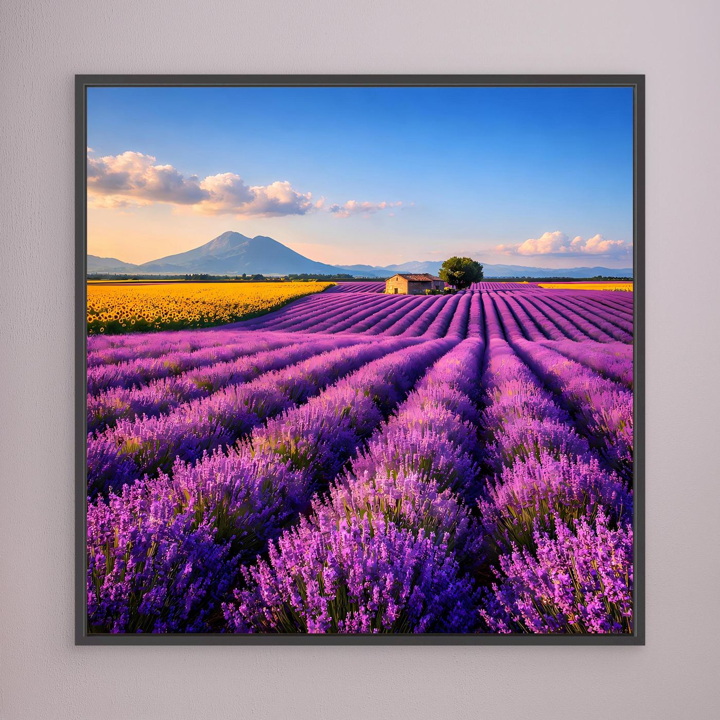 Leinwandbild Lavendelfeld mit lila Reihen, blauem Himmel und Berg, mit dunklem Rahmen