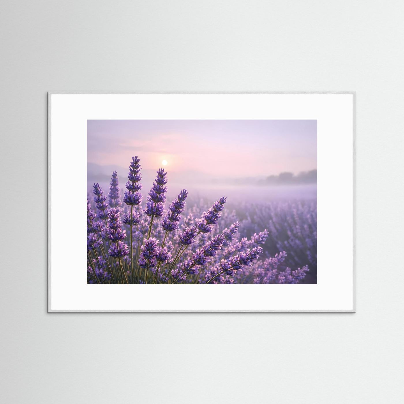 Sanfter Lavendelzauber im Morgenlicht | Panorama Blumenfeld & Natur Poster Querformat