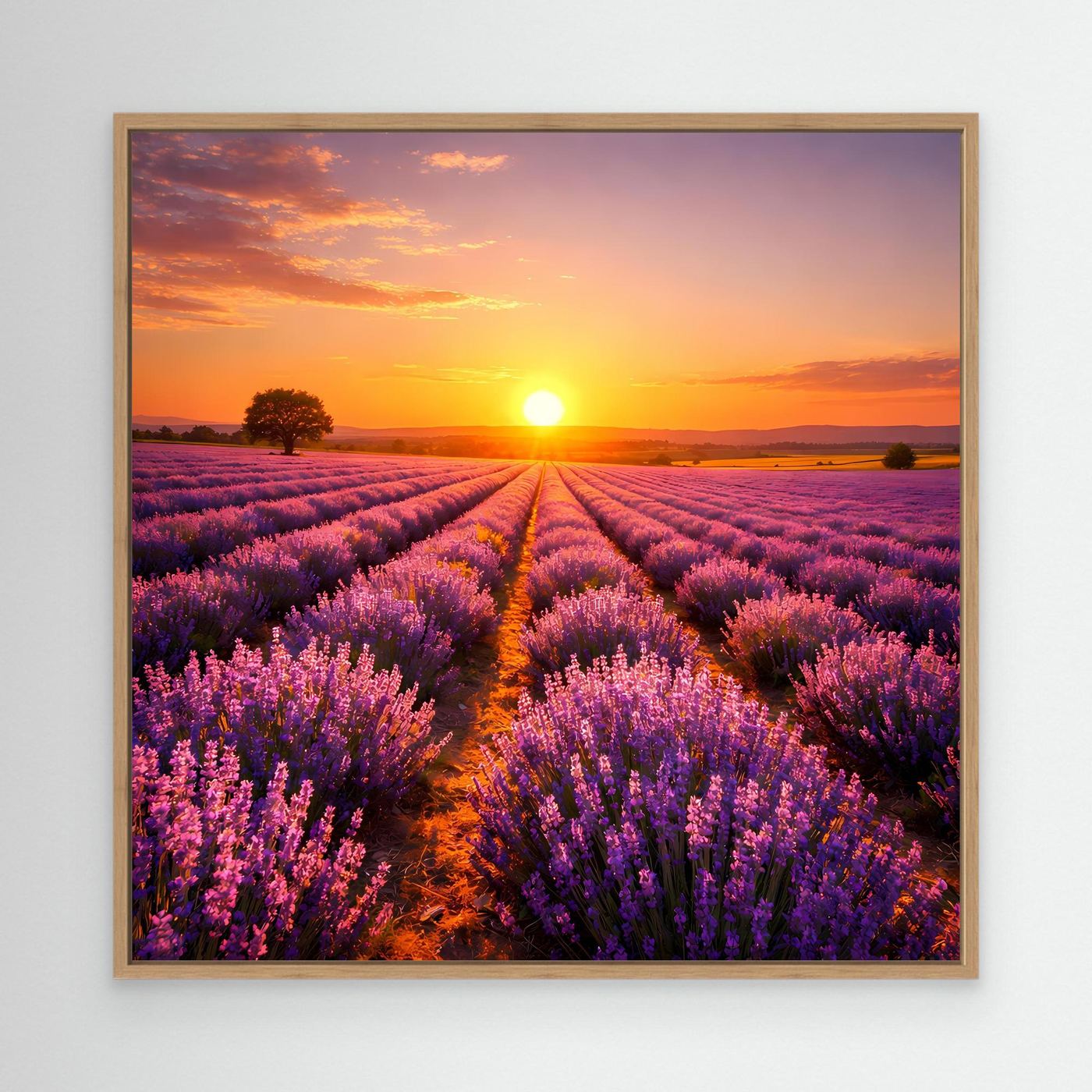 Leinwandbild mit Lavendelfeld in Violett und Sonnenuntergang, Eichenrahmen