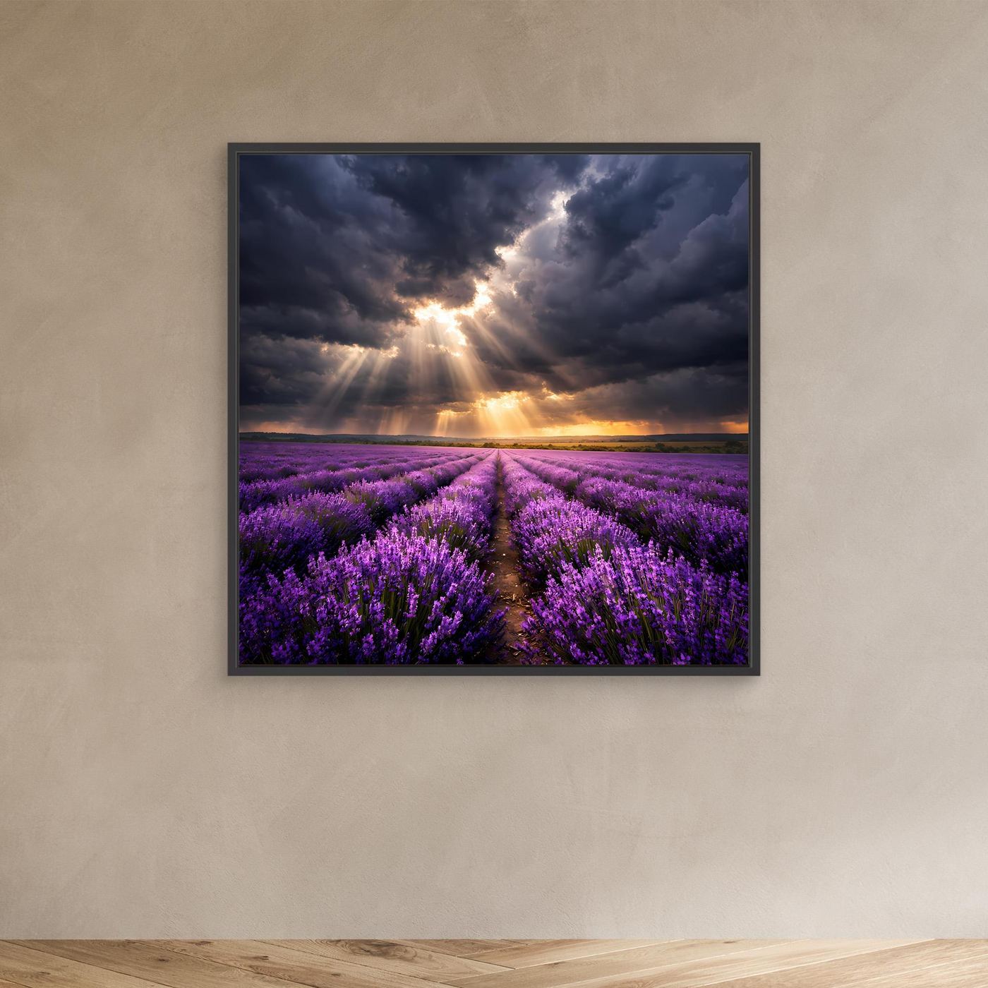 Leinwandbild Lavendelfeld mit Lichtstrahlen und Sonnenaufgang im schwarzen Rahmen