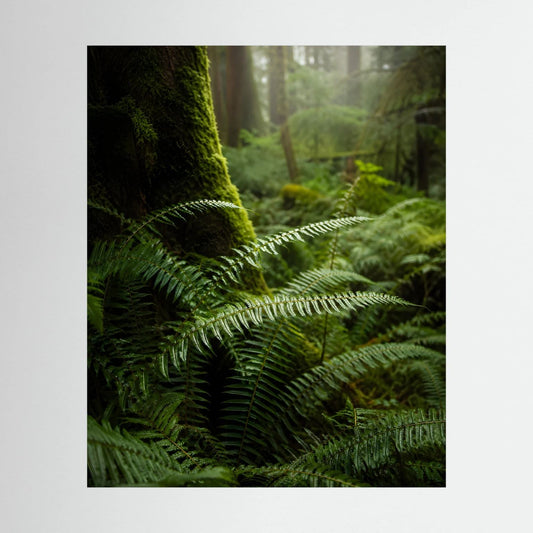 Poster mit grünem Farn im Wald, moosbewachsene Stämme und Farne