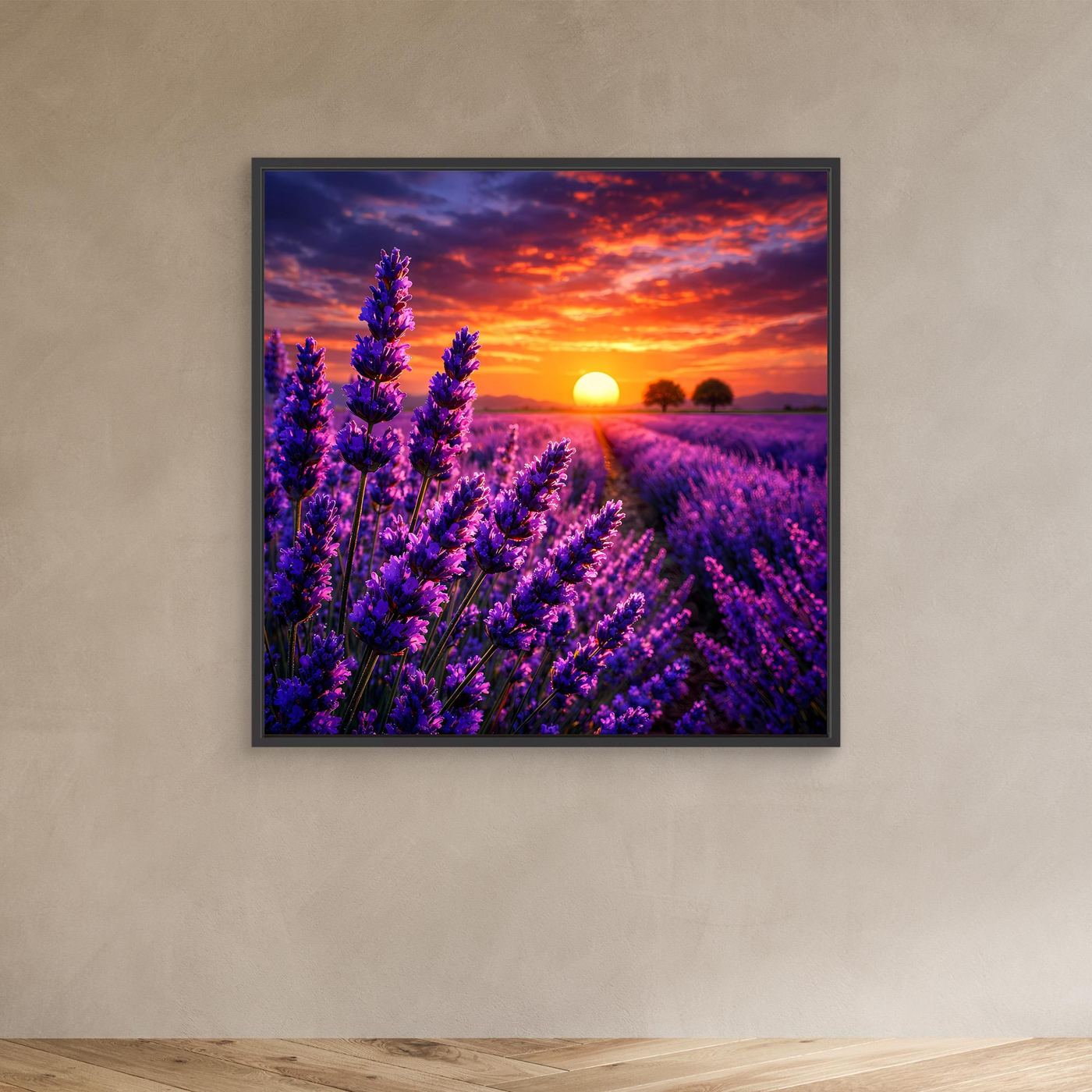 Leinwandbild Lavendelfeld bei Sonnenuntergang, violette Blütenähren, schwarzer Rahmen.